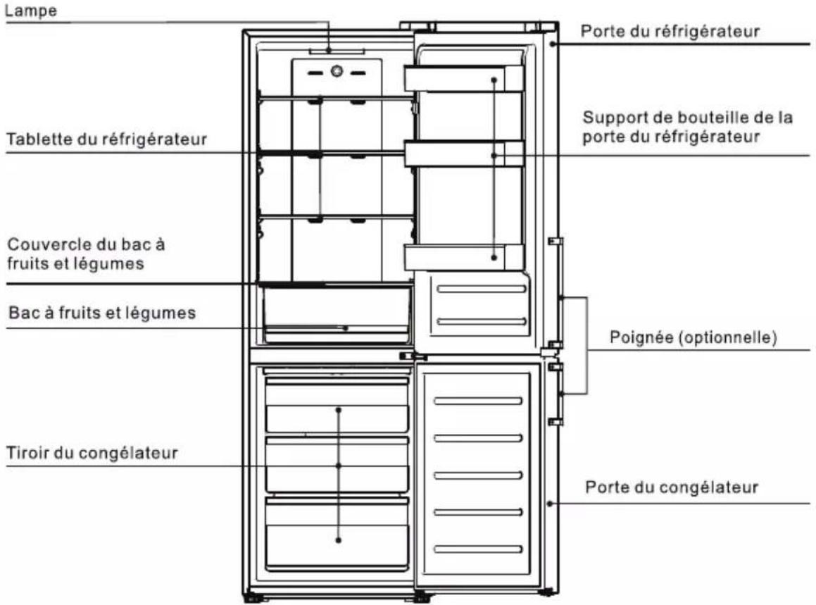 TCL RB315WM1110 - Présentation du produit - 1