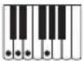 CASIO CTS400 - Guide des doigtés - 25