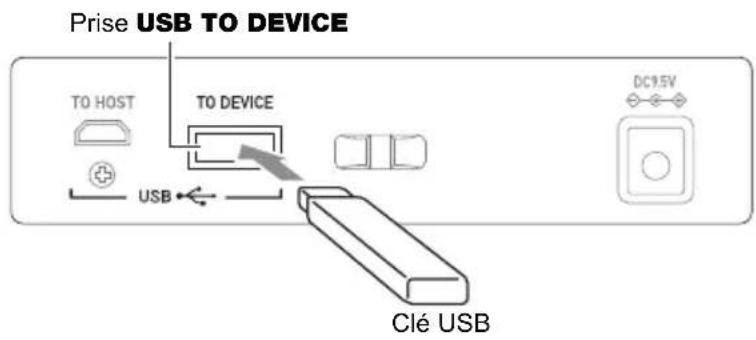 CASIO CTS400 - Insérez la clé USB sur la prise USB TO DEVICE du clavier numérique. - 1
