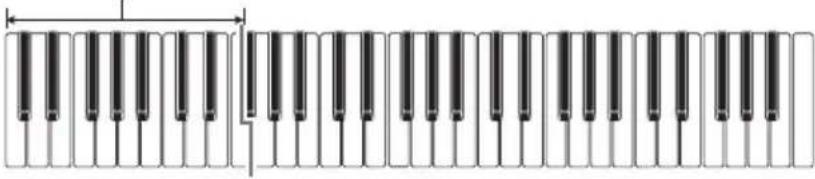 CASIO CTS400 - ■DOIGTÉ - 1