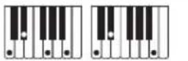 CASIO CTS400 - Guide des doigtés - 14