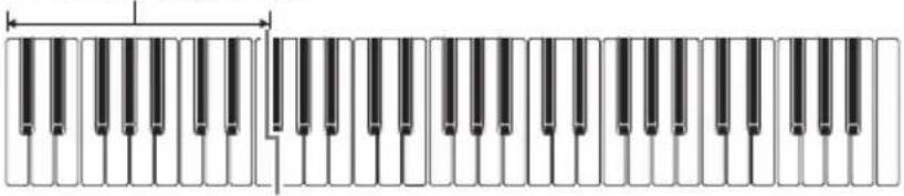 CASIO CTS400 - ■CASIO CHORD - 1