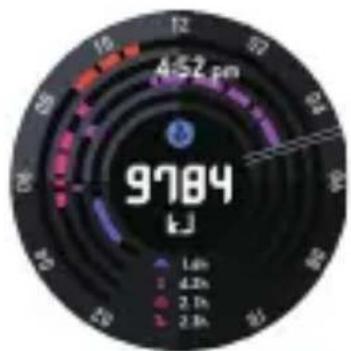 CASIO Pro Trek Smart WSDF30 - Utilisation de Mon graphique - 1