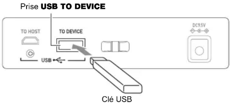 CASIO LKS450 - Insérez la clé USB sur la prise USB TO DEVICE du clavier numérique. - 1