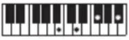 CASIO LKS450 - REMARQUE - 204