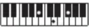 CASIO LKS450 - REMARQUE - 137