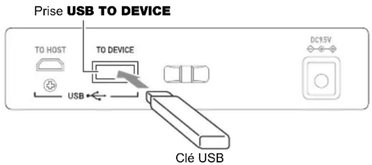 CASIO LKS450 - Comme indiqué sur l'illustration suivante, insérez une clé USB dans la prise USB TO DEVICE du clavier numérique. - 1