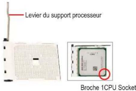 GIGABYTE GA8I915P DuoA - Installation d'un processeur AMD (sautez cette étape si la carte mère comprend un CPU intégré) - 1