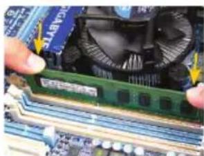 GIGABYTE GA8I915P Duo ProA - Installation De La Mémoire - 1