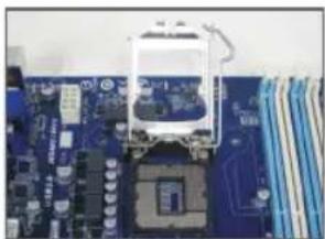 GIGABYTE GA8I915P Duo ProA - Instalacion de un procesador Intel (omit a este paso si la plac baseiene una CPU integrada) - 1