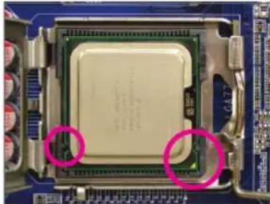 GIGABYTE GAEG41MFS2H - 1-3-1 CPU 取取付付的 - 7