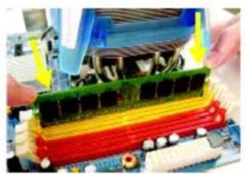 GIGABYTE GAM61PS3 - 1-4 安裝記憶體模組 - 4