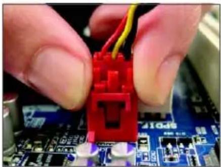 GIGABYTE GAG31S3L - 輸入」： - 1