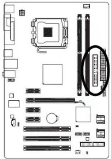 GIGABYTE GAP31S3G - 6) IDE (IDE) 插座 - 1