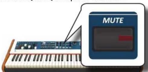 Dexibell Combo J7 - REMARQUE - 2