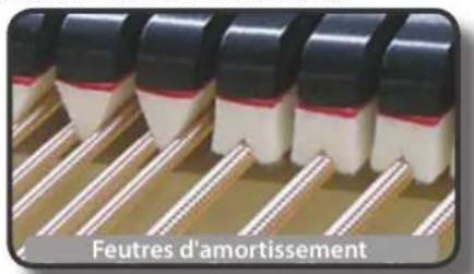 Dexibell Combo J7 - Damper Noise (bruit des feutures) - 1