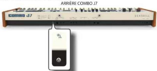 Dexibell Combo J7 - Borne de mise à la terre - 1