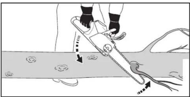 STIHL MSA 160 C - Snoeien - 1