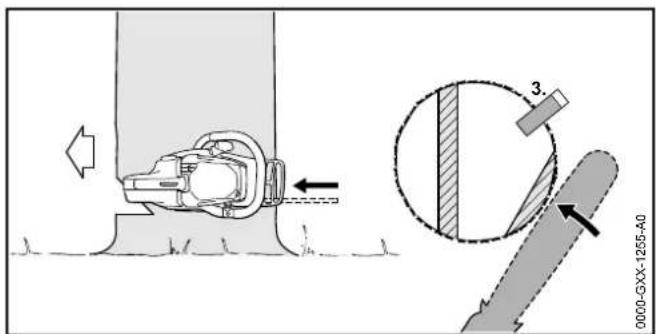 STIHL MSA 160 C - Normale boom met kleine stamdiameter vellen - 2