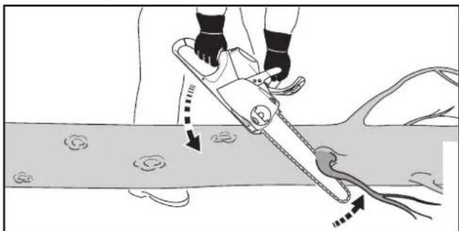 STIHL MSA 160 C - Limbing - 1