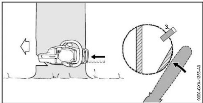STIHL MSA 160 C - Abattage d'un arbre normal de faible diamètre de tronc - 2