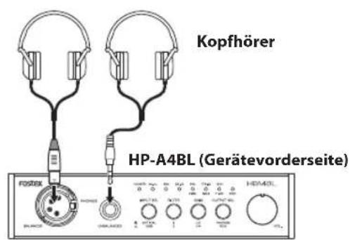 FOSTEX HPA4BL - Hinweise - 1