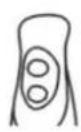 Wëasy BX6 - GETTING TO KNOW YOUR PLUNGING MIXER - 2