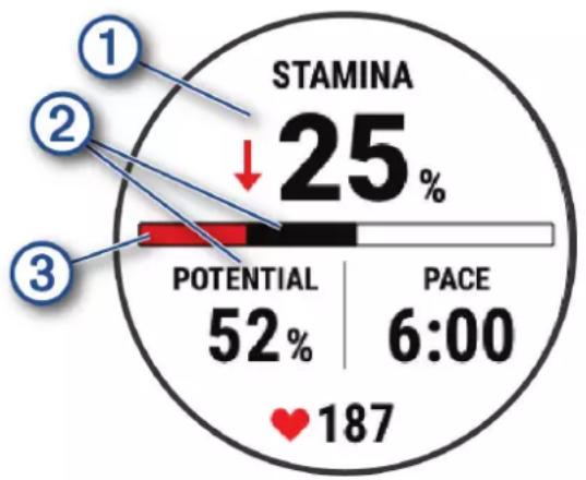 GARMIN Fenix 7S - Affichage de votre Stamina en temps réel - 1