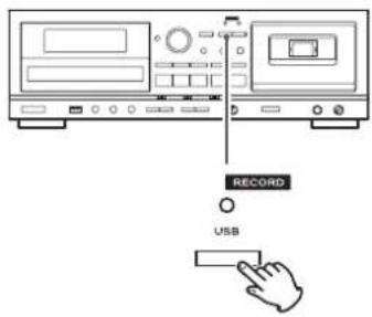 TEAC AD850 - Press the RECORD USB button again to start recording. - 1