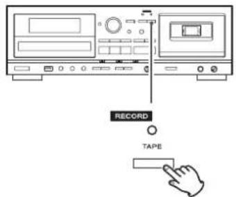 TEAC AD850 - Pulse otra vez el botón RECORD de la sección de cinta (TAPE) para empezar a grabar. - 1