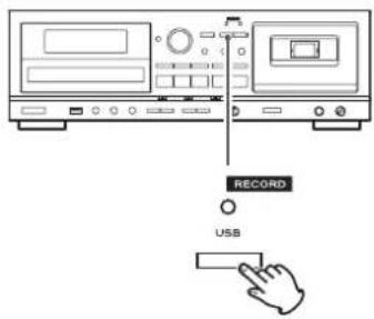 TEAC AD850 - Pulse otra vez el botón RECORD de la sección USB para empezar a grabar. - 1