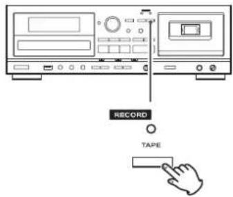 TEAC AD850 - Press the RECORD TAPE button to start recording standby. - 1