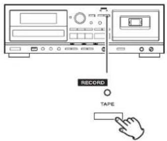 TEAC AD850 - Pulse el botón RECORD de la sección de cinta (TAPE) para iniciar la grabación en espera. - 1