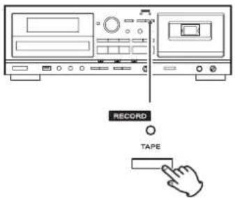 TEAC AD850 - Appuyez à nouveau sur la touche RECORD TAPE pour lancer l'enregistrement. - 1