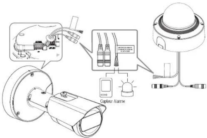 Hanwha XNDC7083RV - Connexion au boîtier du port e/s - 1