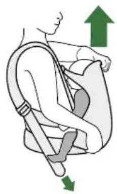 BabyBjörn Harmony - CARRY SAFELY AND COMFORTABLY - 4