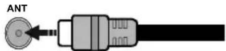CONTINENTAL EDISON CEQLED50SA22B3 - Lado izquierda del televisor - 1
