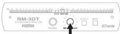 FOSTEX RM3DT - Stummschalten-Taste - 1