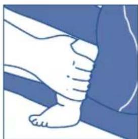 JANE Dual - Vérifiez si les jambes du bébé sont dans une position ergonomique - 2