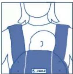 JANE Dual - Vérifiez la hauteur du porte-bébe et duCALE-tête - 2