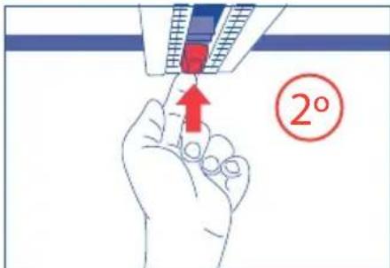 JANE Auto Sport - Backrest fastening - 4