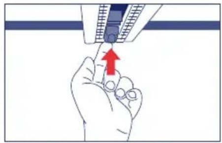 JANE Formula Kid - AVERTISSEMENTS - 4