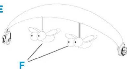Foppapedretti Energy - COMPONENTES - 5