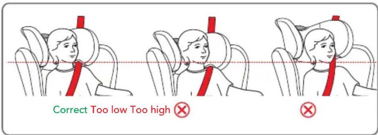 Correct Too low Too high ✗ ✕