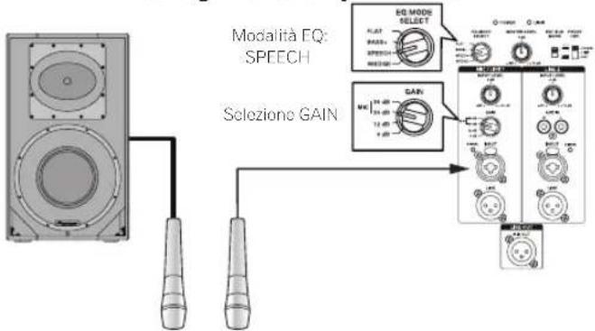 PIONEER XPRS 15 - Sistema con solo un microfono collegato - 1