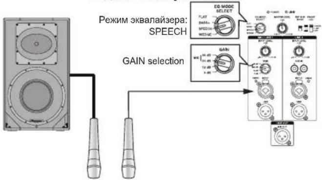 PIONEER XPRS 15 - Система, к которой подключен только микрофон - 1
