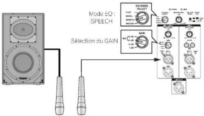 PIONEER XPRS 15 - Système avec un microphone raccordé seulement - 1