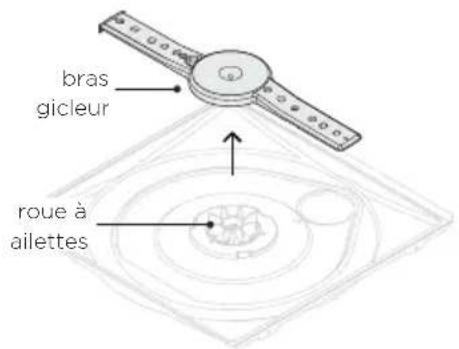 Fisher & Paykel DD24DTX6PX1 - Retrait et nettoyage du bras gicleur - 1