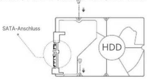 Tenda N6P8H - Tipps - 3