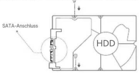 Tenda N6P16H - Tipps - 3